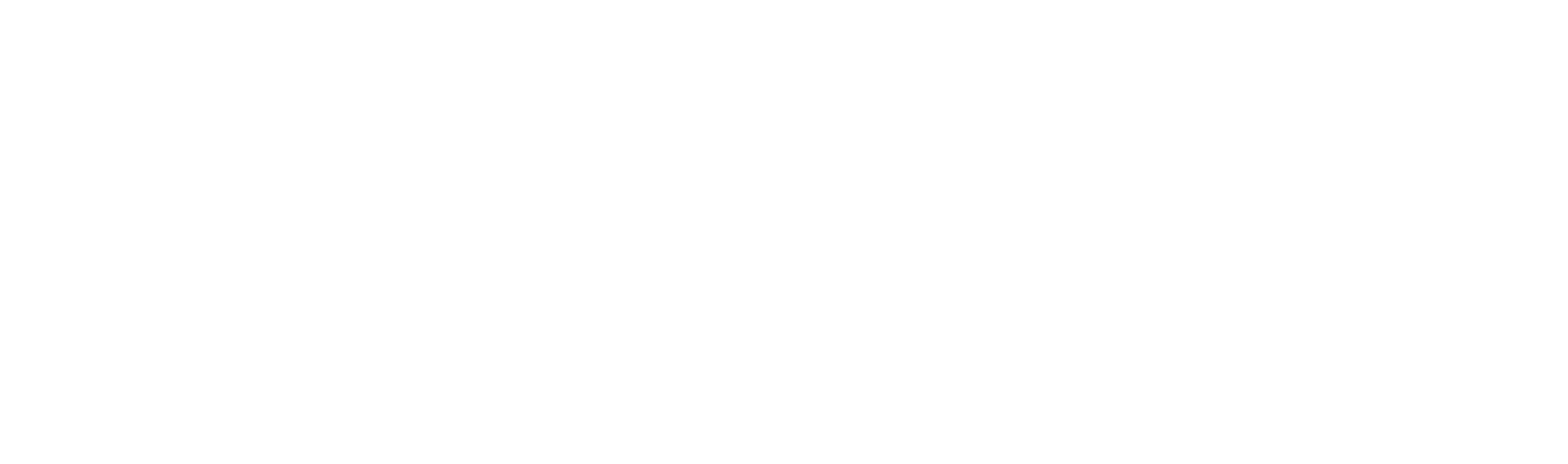 Lone Star Community Foundation